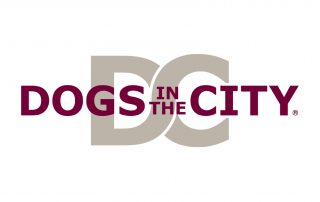 Dogs in the City in Fürth kaufen